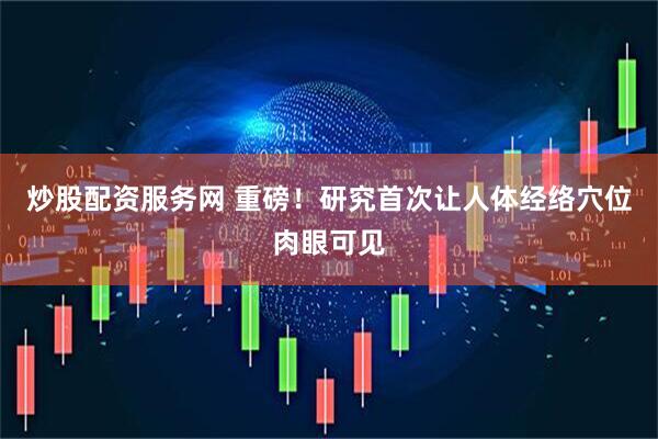 炒股配资服务网 重磅！研究首次让人体经络穴位肉眼可见