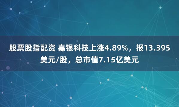 股票股指配资 嘉银科技上涨4.89%，报13.395美元/股，总市值7.15亿美元
