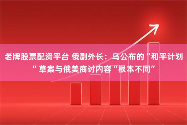 老牌股票配资平台 俄副外长：乌公布的“和平计划”草案与俄美商讨内容“根本不同”