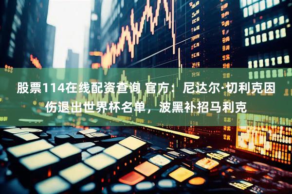 股票114在线配资查询 官方：尼达尔·切利克因伤退出世界杯名单，波黑补招马利克
